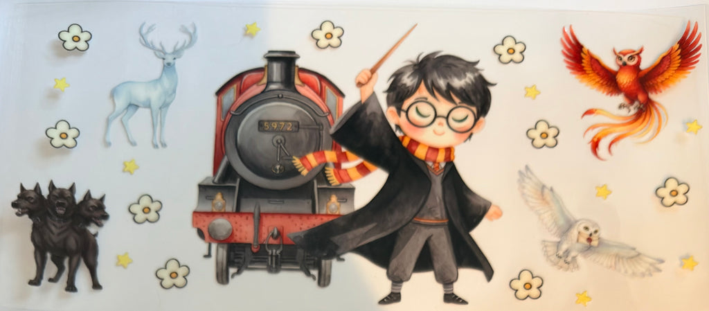 Harry Potter Wraps